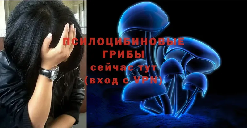 МЕГА ссылка  Зима  Псилоцибиновые грибы Psilocybe  цена  